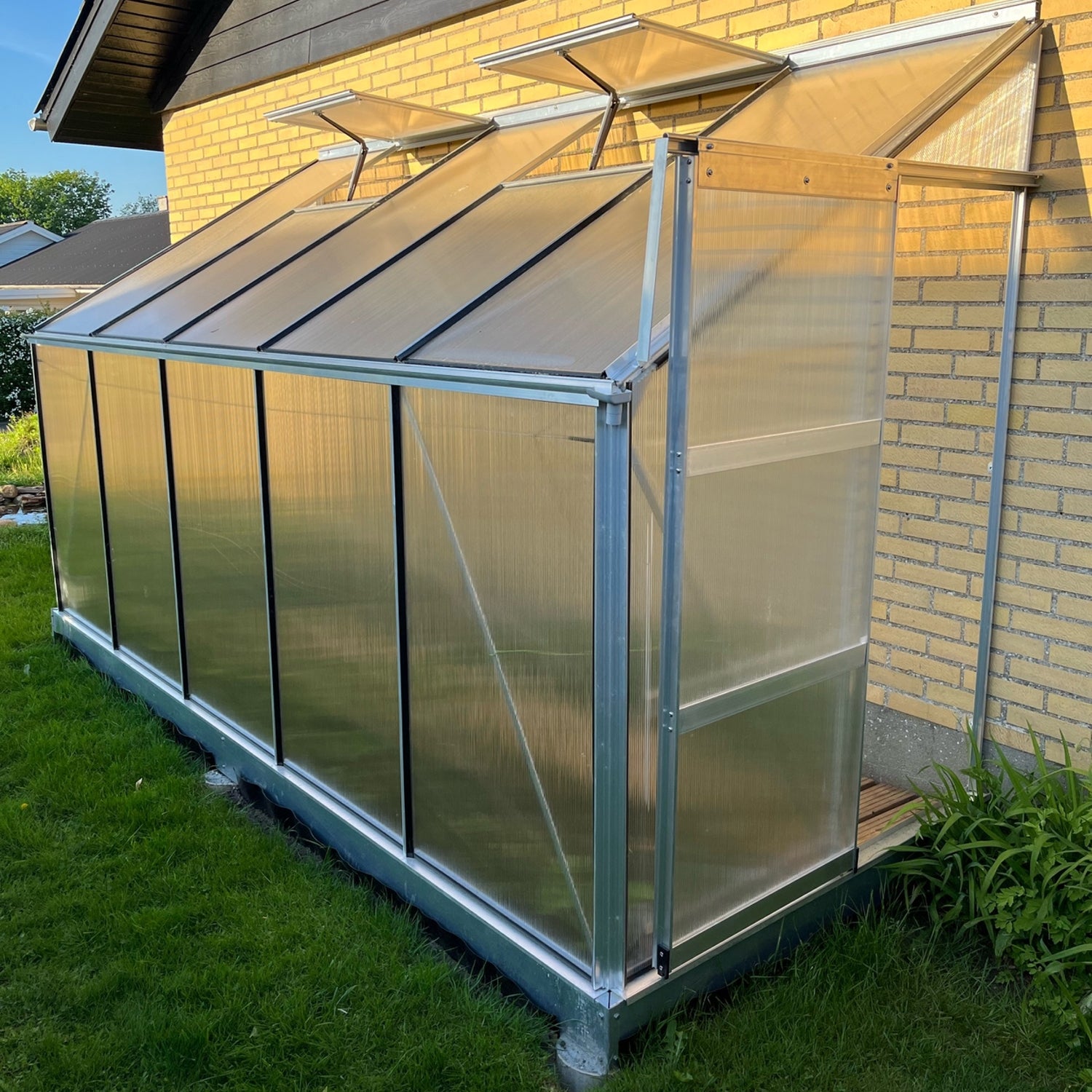 Vægdrivhus Basic 5.3 M²