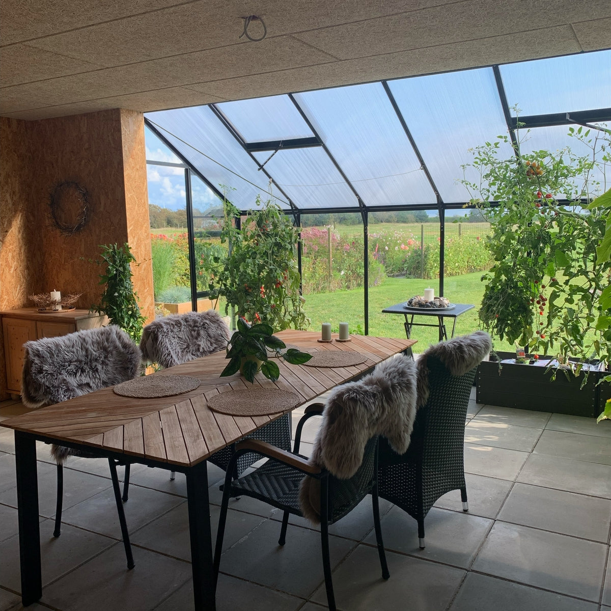 Vægdrivhus Solid 6.3 M²