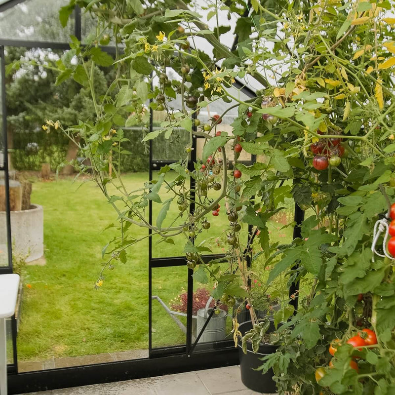 Drivhus Solid 6.5 M²