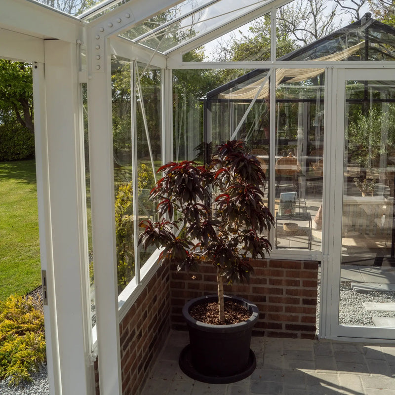 Orangeri Nordic Base 18 m²