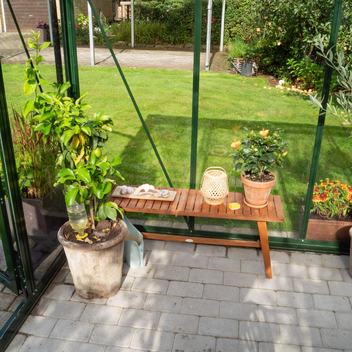 Drivhus Royale 14.5 M² 2.0