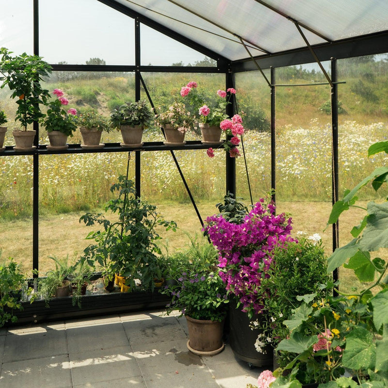 Drivhus Royale 12.1 M² 2.0