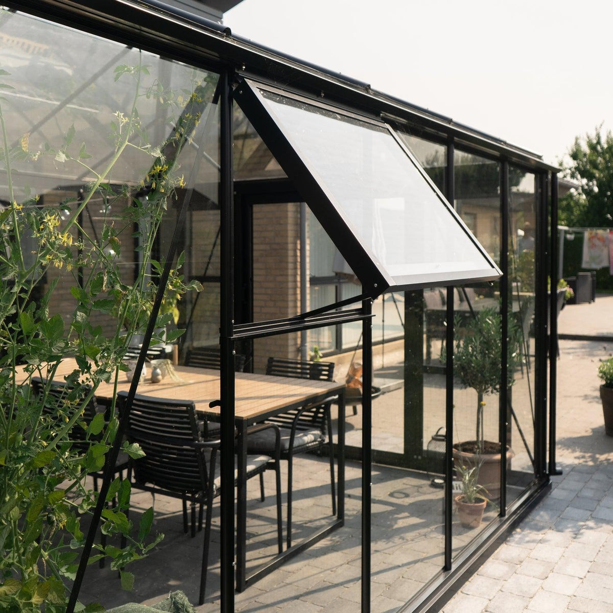 Drivhus Royale Cube 12.1 m² 2.0