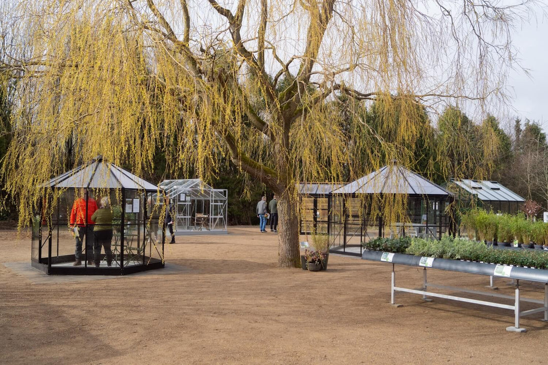 Oplev drømmen ved at besøge vores drivhusudstillinger