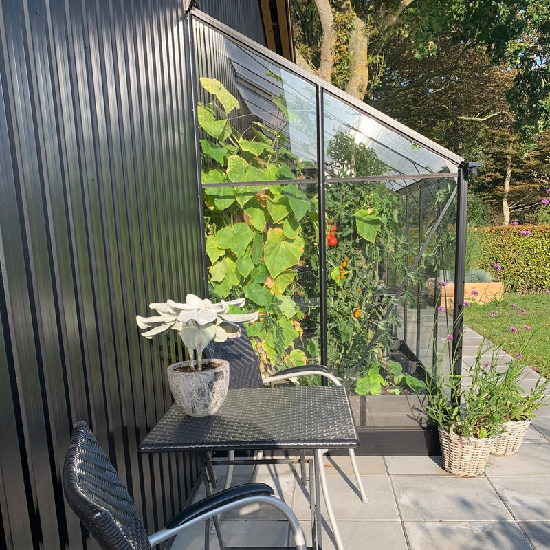 Vægdrivhus Solid 4.3 M²
