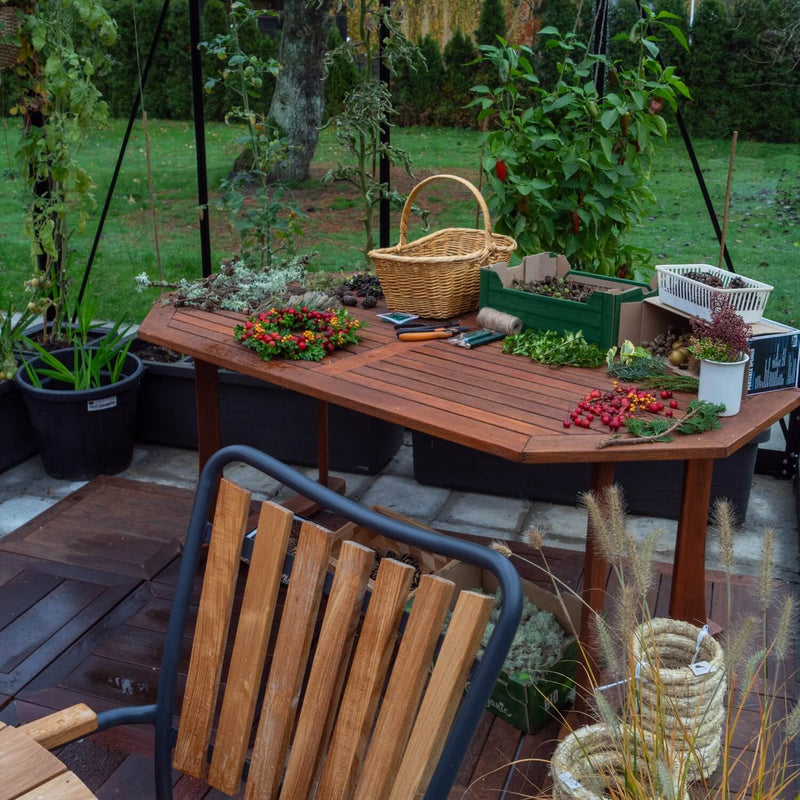 Drivhus Royale 16.8 M²